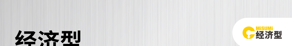 經濟型微直線導軌