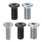 超短頭內(nèi)六角螺栓