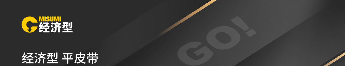 經(jīng)濟(jì)型 平皮帶