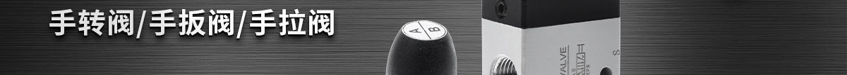 經(jīng)濟(jì)型 手動(dòng)換向閥