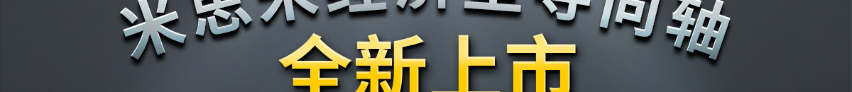 米思米經(jīng)濟型導向軸 全新上市