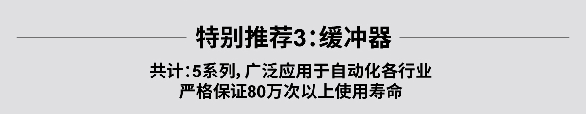 特別推薦3：緩沖器