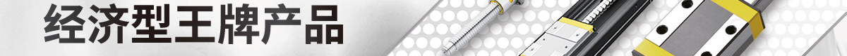 經(jīng)濟型王牌產(chǎn)品