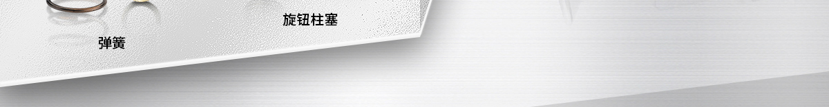 經(jīng)濟(jì)型定位專場(chǎng)