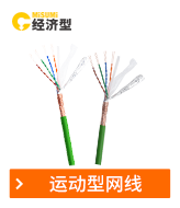 運(yùn)動型網(wǎng)線