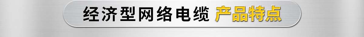 經(jīng)濟型網(wǎng)絡(luò)電纜產(chǎn)品特點