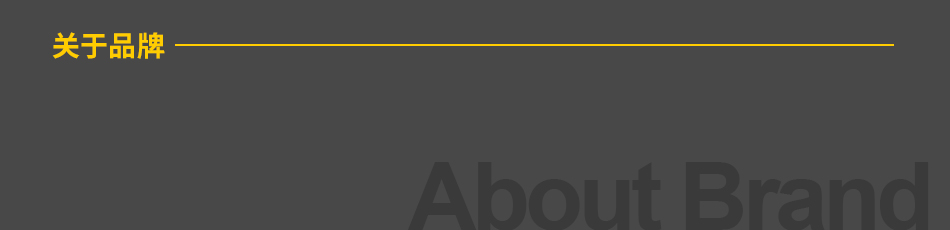 關(guān)于品牌