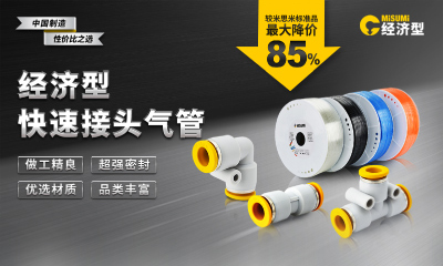 經(jīng)濟(jì)型 快速接頭氣管
