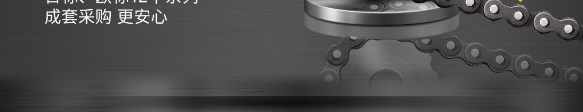 經(jīng)濟(jì)型 鏈輪 鏈條 惰輪