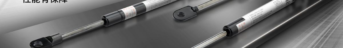 經(jīng)濟型氮氣彈簧