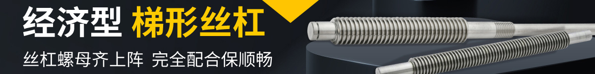 經(jīng)濟型 梯形絲杠