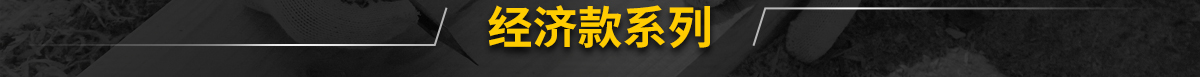 經(jīng)濟(jì)款系列