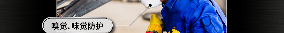 視覺防護(hù) 聽覺防護(hù) 嗅覺、味覺防護(hù) 觸覺防護(hù)