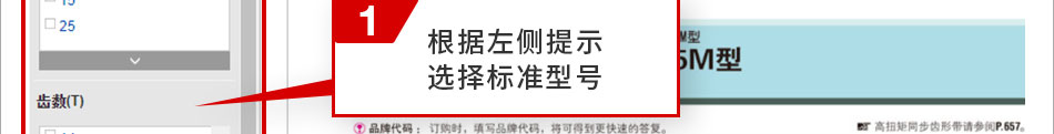 根據(jù)左側(cè)提示選擇標(biāo)準(zhǔn)型號(hào)